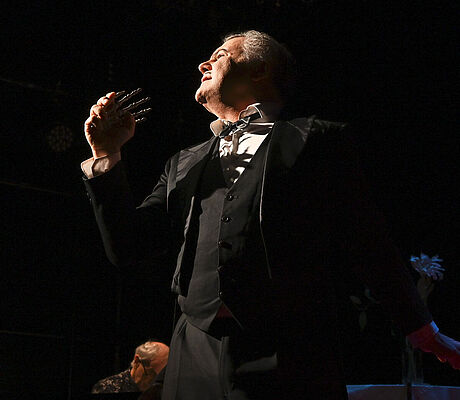 Die Tauben sind nicht totzukriegen