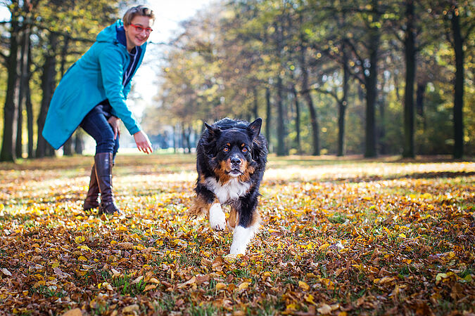 Hilfe! Mein Hund ist kaputt! Hilfe! Mein Hund ist kaputt!